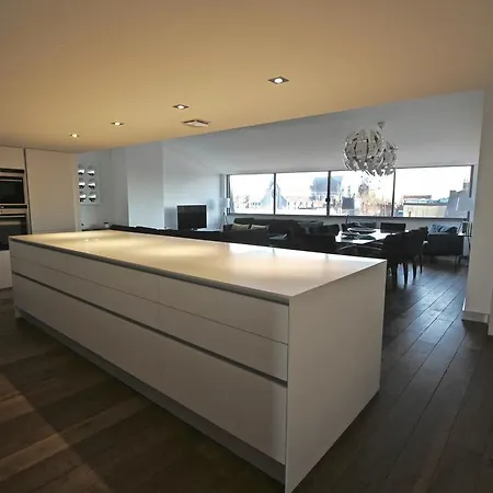 Loft Esquermoise דירה *