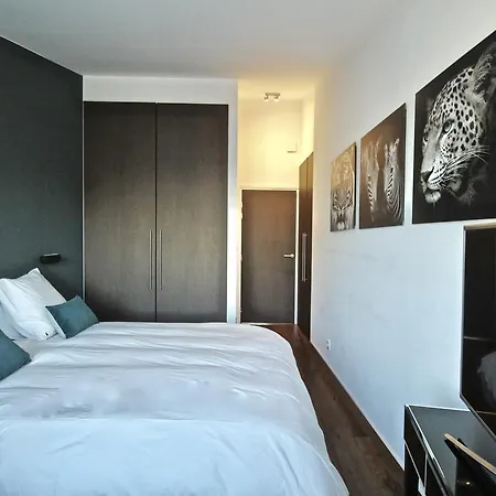 דירה Loft Esquermoise ליל